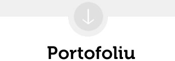 portofoliu1
